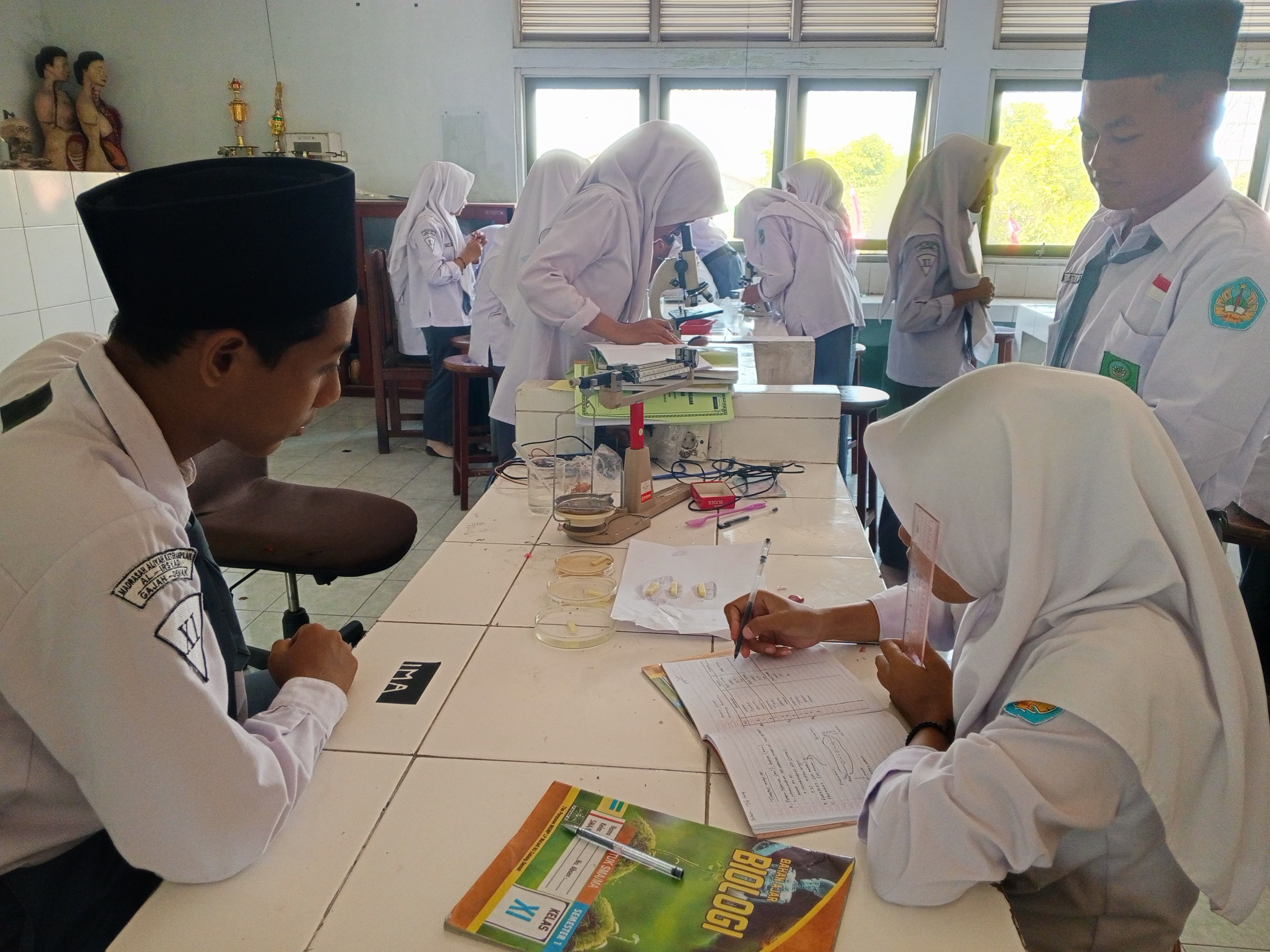lab_biologii.jpg