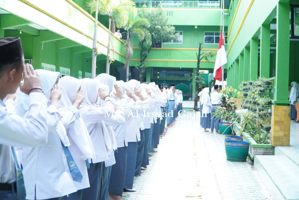 up_1.jpg